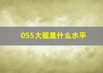 055大驱是什么水平