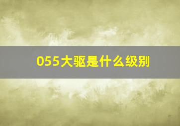 055大驱是什么级别