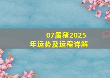 07属猪2025年运势及运程详解