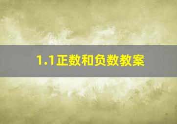 1.1正数和负数教案