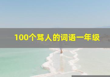 100个骂人的词语一年级