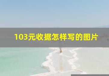 103元收据怎样写的图片