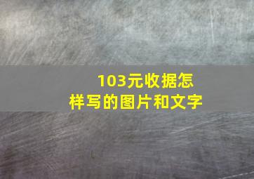 103元收据怎样写的图片和文字