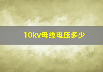 10kv母线电压多少