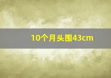 10个月头围43cm