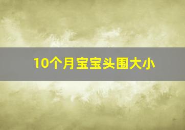 10个月宝宝头围大小