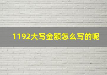 1192大写金额怎么写的呢