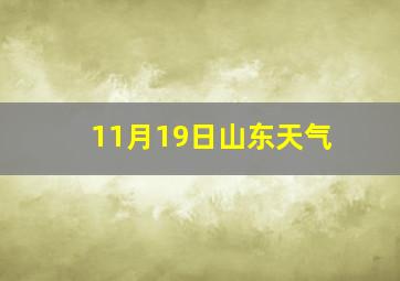 11月19日山东天气