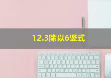 12.3除以6竖式