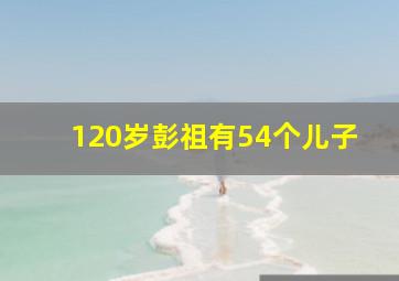 120岁彭祖有54个儿子