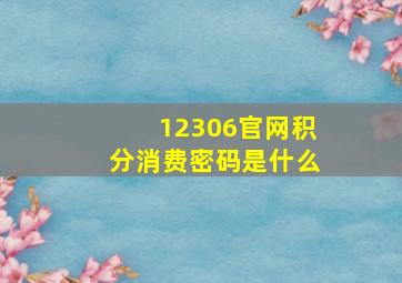 12306官网积分消费密码是什么