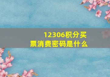 12306积分买票消费密码是什么