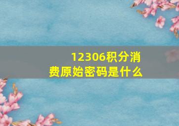 12306积分消费原始密码是什么