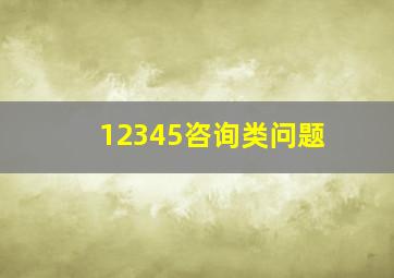 12345咨询类问题