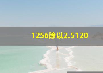 1256除以2.5120