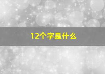 12个字是什么