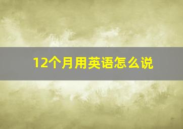 12个月用英语怎么说