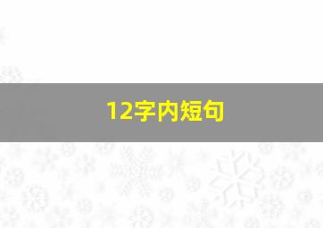 12字内短句