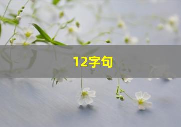 12字句