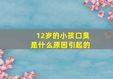 12岁的小孩口臭是什么原因引起的