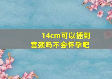 14cm可以插到宫颈吗不会怀孕吧