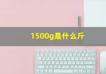 1500g是什么斤