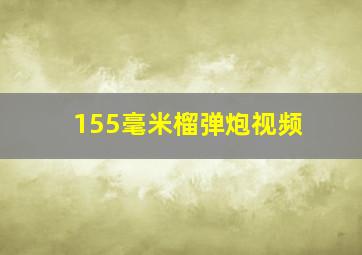 155毫米榴弹炮视频