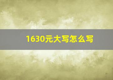 1630元大写怎么写