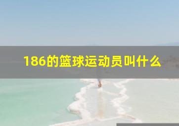 186的篮球运动员叫什么