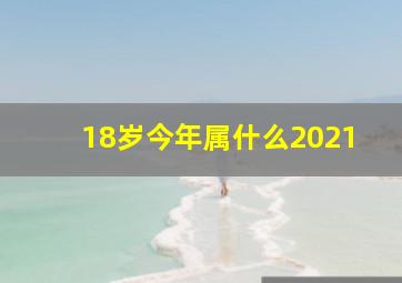 18岁今年属什么2021