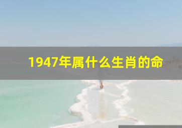 1947年属什么生肖的命