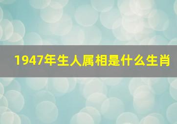 1947年生人属相是什么生肖