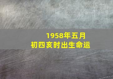 1958年五月初四亥时出生命运