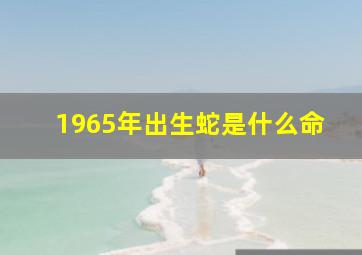 1965年出生蛇是什么命