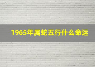 1965年属蛇五行什么命运