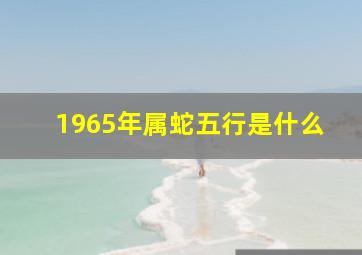 1965年属蛇五行是什么