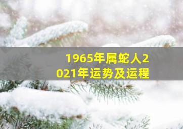 1965年属蛇人2021年运势及运程