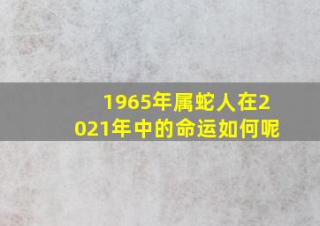 1965年属蛇人在2021年中的命运如何呢