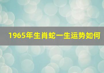 1965年生肖蛇一生运势如何