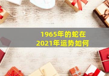 1965年的蛇在2021年运势如何