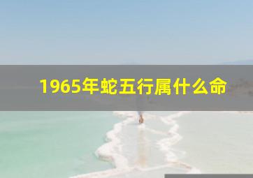 1965年蛇五行属什么命