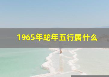 1965年蛇年五行属什么