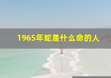 1965年蛇是什么命的人