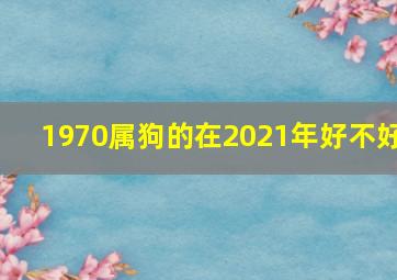 1970属狗的在2021年好不好