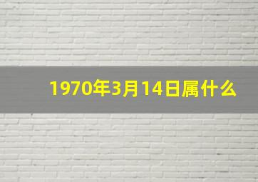 1970年3月14日属什么