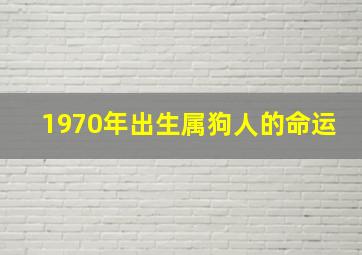 1970年出生属狗人的命运