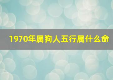 1970年属狗人五行属什么命