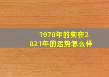 1970年的狗在2021年的运势怎么样