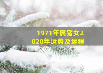 1971年属猪女2020年运势及运程