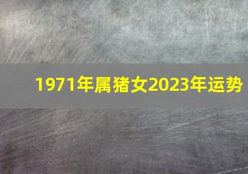 1971年属猪女2023年运势